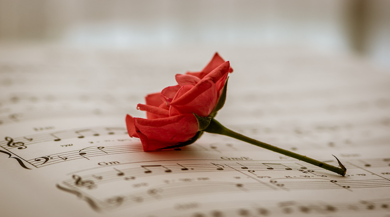love sheet music flower red rose