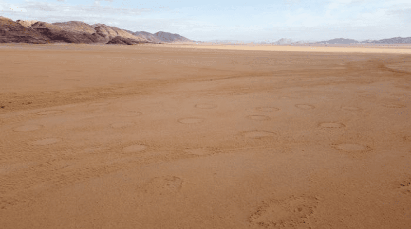 Fairy circles on a Namibian plain. CREDIT: Audi Ekandjo.