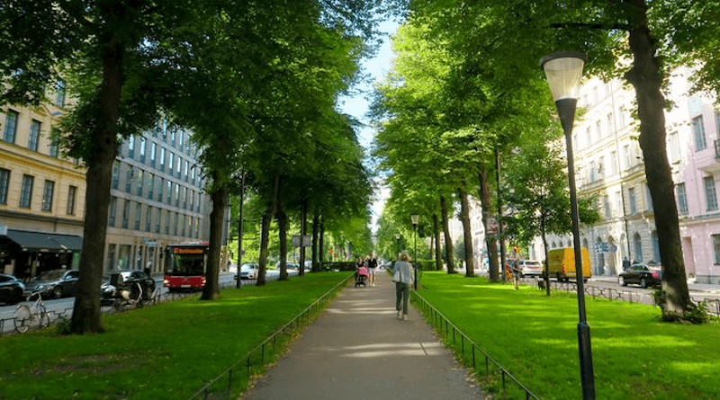 Not just a cool and shady oasis in the city, Stockholm's Karlavägen contributes to climate-positive behaviors such as bicycling and walking. CREDIT: David Callahan/KTH Royal Institute of Technology