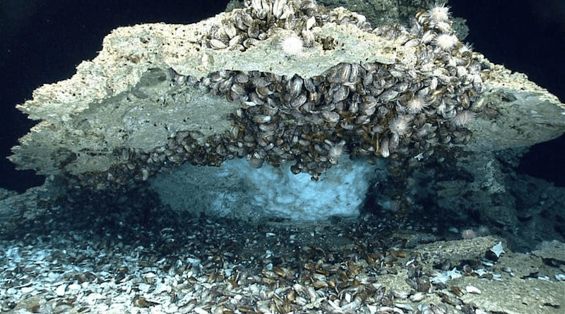 Methane clathrate (white, ice-like material) under a rock from the seafloor of the northern Gulf of Mexico. Deposits such as these demonstrate that methane and other gases cross the seafloor and enter the ocean. CREDIT: NOAA