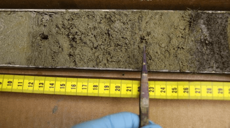 A section of sediment core material from Wax Lips Lake in northern Greenland. CREDIT: Jamie McFarlin