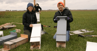 Joy O'Keefe (left) and Reed Crawford (right) with bat boxes installed for a previous study. The researchers point out a number of unknowns related to artificial roosts as conservation tools for bats and call for more research. Photo credit: Lauren D. Quinn, University of Illinois.
