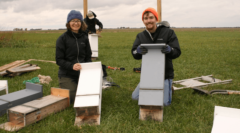 Joy O'Keefe (left) and Reed Crawford (right) with bat boxes installed for a previous study. The researchers point out a number of unknowns related to artificial roosts as conservation tools for bats and call for more research. Photo credit: Lauren D. Quinn, University of Illinois.