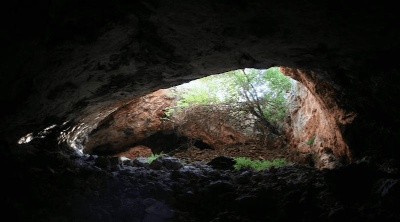 View of the cave entrance from inside. CREDIT: J.C. Vera Rodríguez, CC-BY 4.0