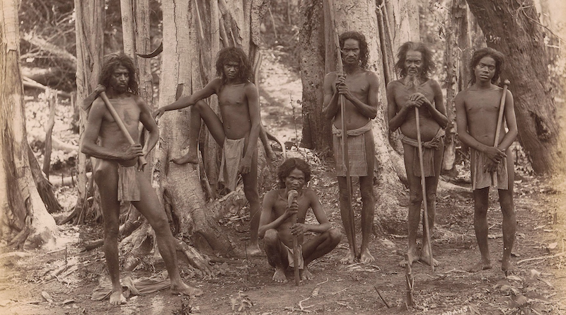 Group portrait of Veddah men in the forests, between 1870 and 1904. Photo Credit: Rijksmuseum, Wikipedia Commons