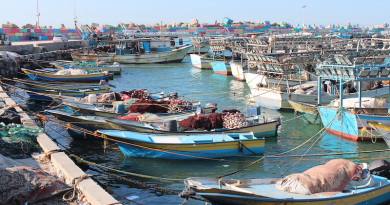 File photo of boats in Gaza port. Photo Credit: Mahmoud Navash, Wikimedia Commons