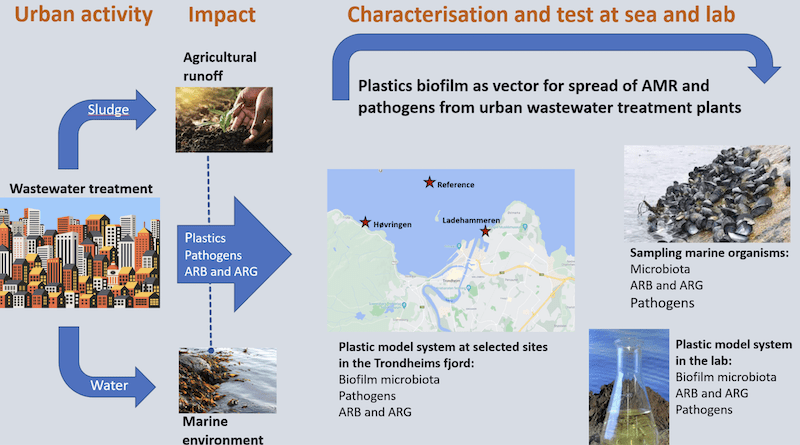 This model illustrates the problem being addressed by the PlastiSpread project. Illustration courtesy of SINTEF
