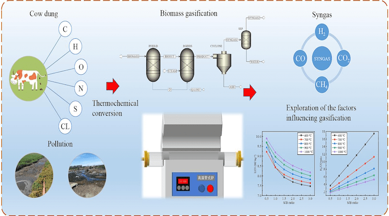 graphical abstract