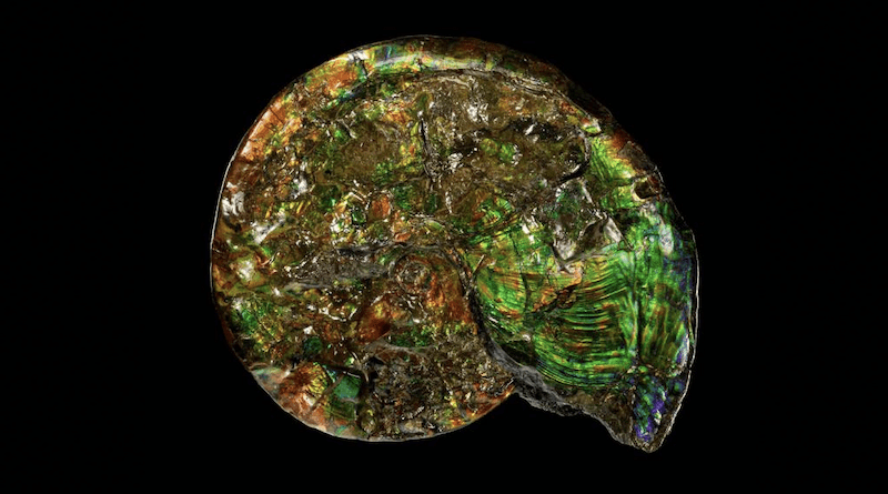 As Earth formed, new geologic processes, especially those related to the interaction of hot fluids with rock during igneous activity and plate tectonics, gave birth to over 1500 new mineral species (4.55 to 2.5 billion years ago). At 2.5 billion years ago, emerging biological life introduced oxygen into the atmosphere. This was a time of pivotal change, when photosynthesis began and the interaction of iron with oxygen-based minerals changed ancient life, providing the blueprint for our future evolution, together with minerals. Photo Credit: Dr. Robert Lavinsky