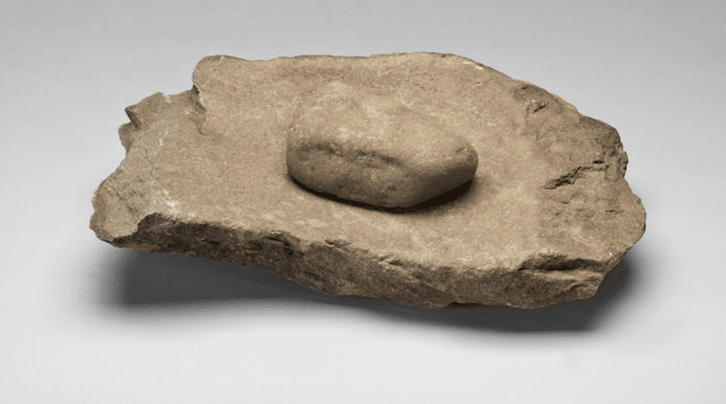 Grinding tool from the Chalcolithic settlement of Castelo de Corte João Marques, Algarve (photo José Paulo Ruas, Museu Nacional de Arqueologia, Portugal).