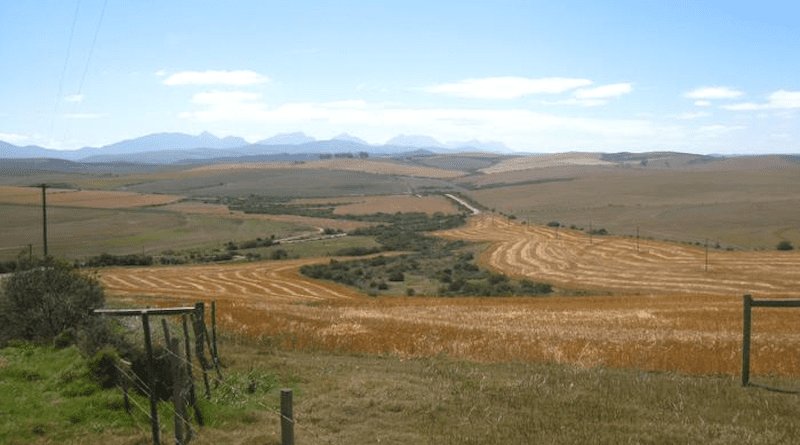 Optimized land use taking into account climatic conditions could increase yields and still limit area consumption. CREDIT: Anita Bayer