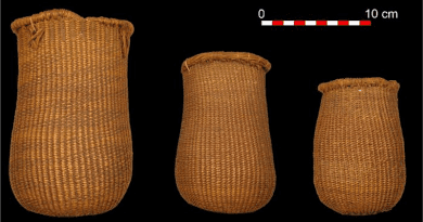 Oldest Mesolithic baskets in southern Europe, 9,500 years old. CREDIT: MUTERMUR Project