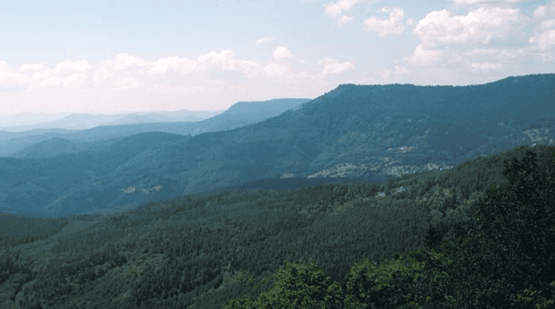 Forest massif of the Vosges mountains in France CREDIT: INRAE - INRAE - BOSSENNEC Jean-Marie