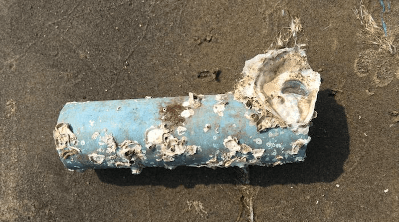 The accumulation of marine debris occurs especially near highly populated cities or tourist destinations. CREDIT: Dr. Gunasekaran Kannan