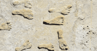 Fossilized footprints in White Sands National Park. CREDIT: USGS, NPS, Bournemouth University