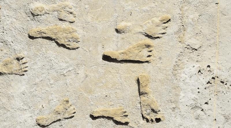Fossilized footprints in White Sands National Park. CREDIT: USGS, NPS, Bournemouth University