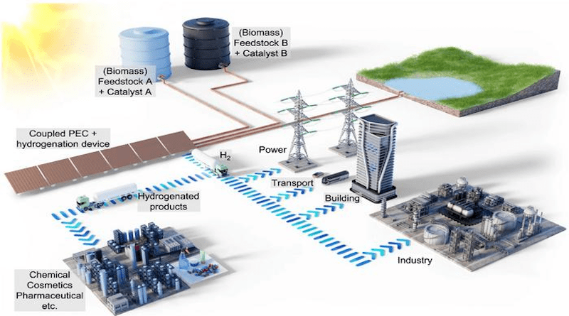 Illustration of the solar-powered coupled photoelectrochemical and hydrogenation unit. The coupled device uses sunlight to generate hydrogen and consumes some of the generated hydrogen in situ to hydrogenate biomass-derived feedstock using a homogeneous catalyst. The remaining hydrogen can then be used for energy storage, transport, building and industrial applications. The hydrogenated products are valuable chemicals in high demand by the chemical and pharmaceutical industries. The fraction of the hydrogen used for the hydrogenation reaction can be adapted to demand by regulating the supply of biomass feedstock and the catalyst concentrations accordingly. By switching between "Feedstock A + Catalyst A" and "Feedstock B + Catalyst B", different hydrogenation products can be produced in the same PEC plant. CREDIT Hassan Tahini, ScienceBrush Design / published in https://doi.org/10.1038/s41467-023-41742-4