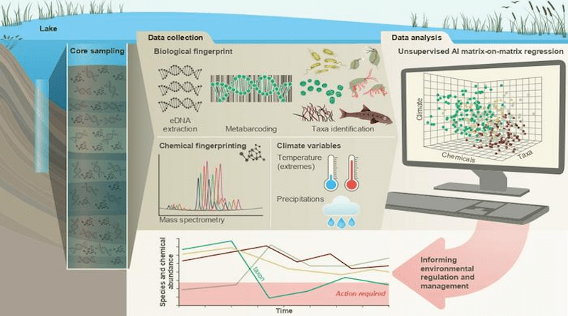 A figure showing the work of the study. CREDIT: Niamh Eastwood and ProfessorLuisa Orsini.