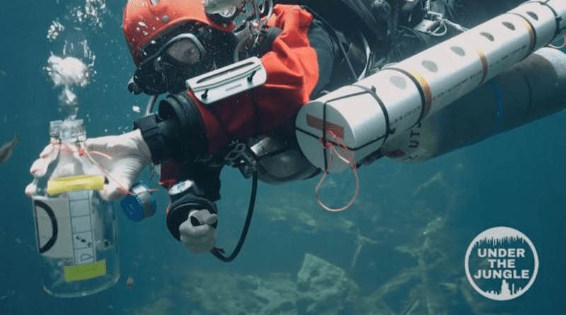 Advanced buoyancy skills are required for taking sterile 1-liter water samples. A diver uses an air hose to completely void the sterile bottle, which is then inverted and flooded with the sample water, with the specific depth recorded from wrist mounted depth gauges. CREDIT: Natalie Gibb/Under the Jungle