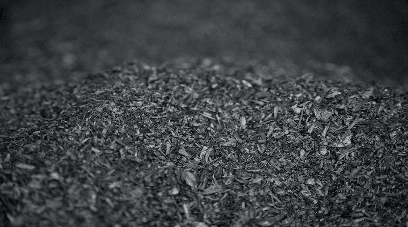 Biochar after production, in a large pile. Photo Credit: Oregon Department of Forestry, Wikipedia Commons
