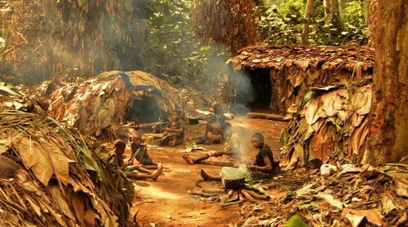A Mbendjele camp in the Congo rainforest CREDIT: Dr Nikhil Chaudhary