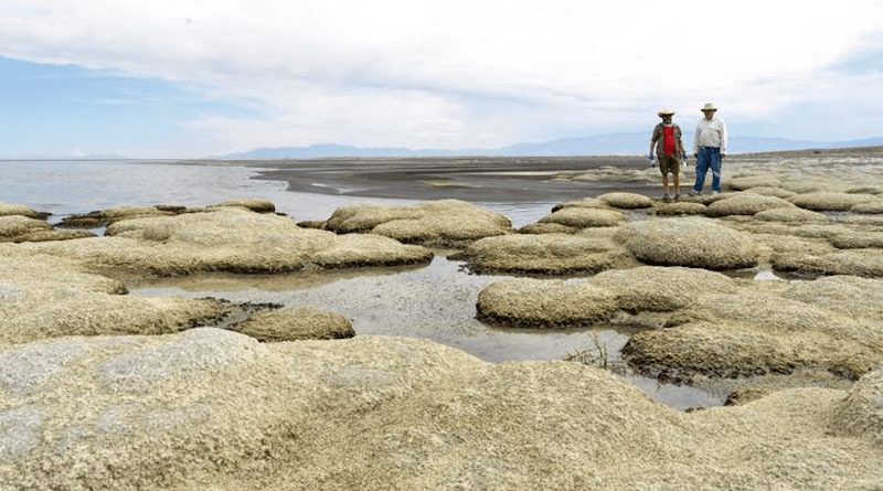 Dr. James Metalf and Dr. Paul Alan Cox with cyanobacterial mounds at the Great Salt Lake. CREDIT: Paul Alan Cox