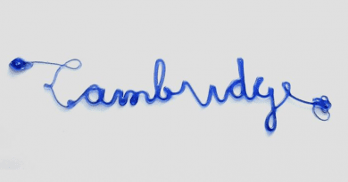 A 3D-printed cursive "Cambridge" printed using reinforcement learning CREDIT: Soft Math Lab/Harvard SEAS