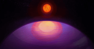 Artistic rendering of the possible view from LHS 3154b towards its low mass host star. Given its large mass, LHS 3154b probably has a Neptune-like composition. CREDIT: Penn State