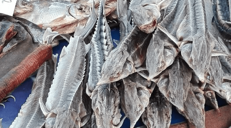 A pile of sturgeons being sold at a fish marked in Eastern Europe. CREDIT: WWF George Caracas