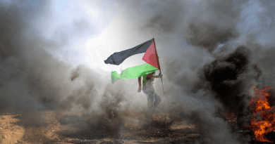man palestine flag