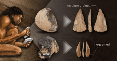 Investigation of mechanical properties of rocks suggested that paleolithic humans changed their choice of raw material to suit their stone tool morphologies and production techniques. CREDIT: Eiki Suga (photos), Reiko Matsushita (illustration and design)