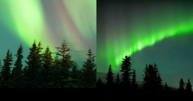 A normal aurora (left) consists of glowing curtains of red, green and blue. An enhanced aurora (right) contains a thin, brighter layer which exhibits much more green, possibly caused by the same physical process that creates Steve and the picket fence. Because enhanced auroras are more common, UC Berkeley researchers plan to probe them first to determine what conditions in the upper atmosphere cause the phenomena. CREDIT: Vincent Ledvina, theauroraguy.com