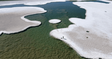 Green mounds of stromatolites flourish at the bottom of a lagoon in Argentina's Puna de Atacama. CREDIT: Brian Hynek