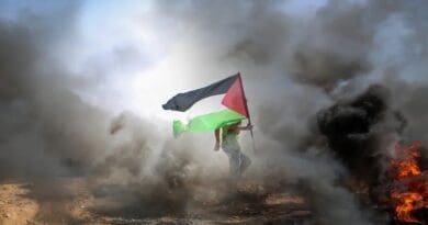 Gaza flag Palestine