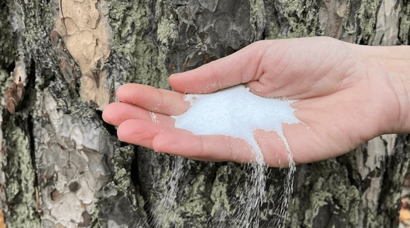 Sodium-ion batteries contain sodium – a very common substance found in table salt – instead of lithium. CREDIT: Chalmers