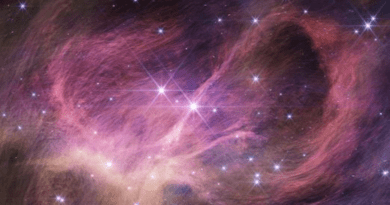 This image from the NIRCam (Near-Infrared Camera) instrument on NASA’s James Webb Space Telescope shows the central portion of the star cluster IC 348. The wispy curtains filling the image are interstellar material reflecting the light from the cluster’s stars – what is known as a reflection nebula. The material also includes carbon-containing molecules known as polycyclic aromatic hydrocarbons, or PAHs. Winds from the most massive stars in the cluster may help sculpt the large loop seen on the right side of the field of view. CREDIT NASA, ESA, CSA, STScI, K. Luhman (Penn State University), and C. Alves de Oliveira (ESA)