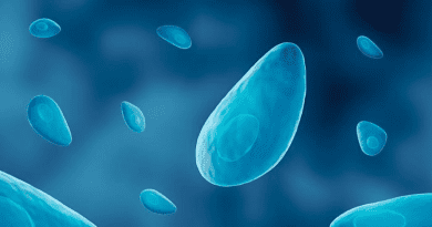 The research was conducted with the intracellular pathogen Toxoplasma as the model parasite. CREDIT: Illustration courtesy the Science Photo Library