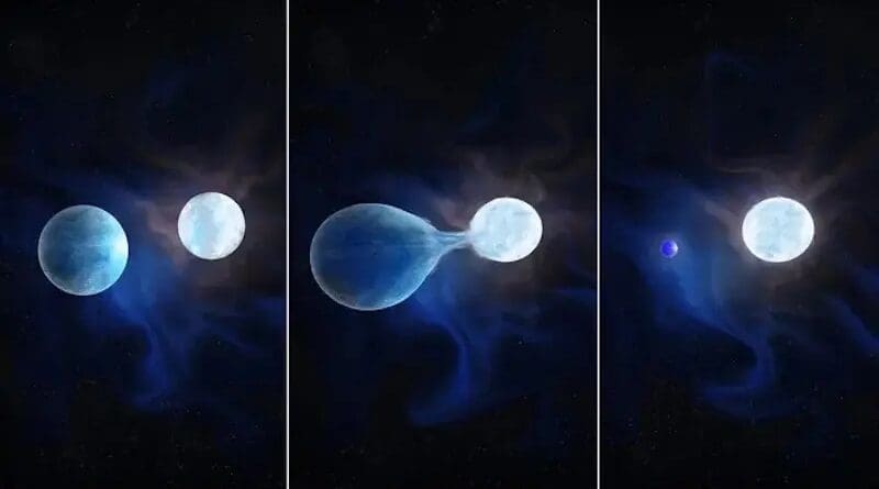This artist's impression shows how hot, brilliant and high-mass stars evolve. The more massive brighter star expands first, until the outer layers start to strongly feel the gravitational pull of the companion. The companion then starts to suck material from the primary star. When the primary has been stripped from its entire hydrogen-rich envelope it shrinks. CREDIT: Navid Marvi, courtesy of the Carnegie Institution for Science