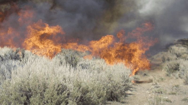 Utah's variable topography produces a tremendous range of wildfire behavior, according to new research from the Quinney College of Natural Resources at Utah State University. CREDIT: Bureau of Land Management