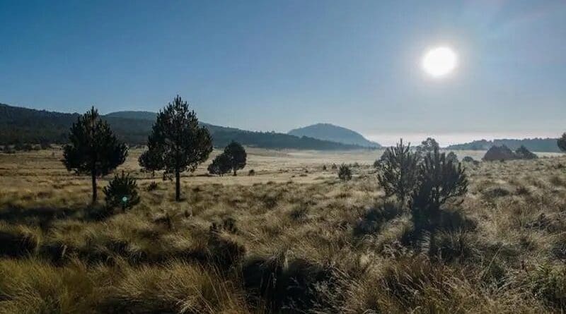 This view of Iztaccíhuatl–Popocatépetl National Park in Mexico represents a biome range shift. CREDIT: Armando Vega, CC 4.0