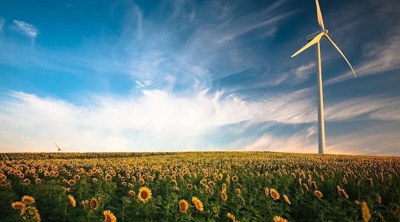wind power turbine sunflowers