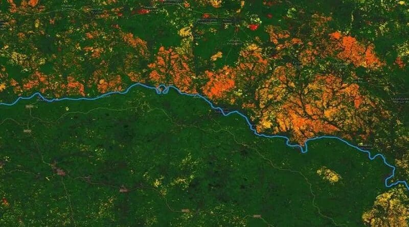 The sudden change in the tree population is obvious. Whereas the green areas show forest coverage in China (beneath the blue line marking the border), the yellow-orange areas on the Russian side indicate deforestation—a sign that national policies impact forest conservation. CREDIT: Source: https://earthenginepartners.appspot.com/science-2013-global-forest