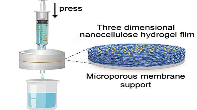 A rendering of the hydrogel filtration system. CREDIT: The University of Texas at Austin