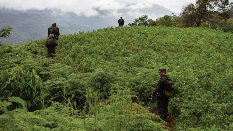 Military incursion in the valley area of the Apurimac, Ene and Mantaro rivers (VRAEM) where drugs such as cocaine are produced. Apurimac, Peru, November 26, 2011. Photo by David Human Bedoya at Shutterstock ID: 1961528875.N / NDU