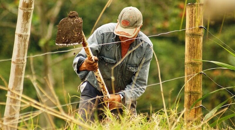 small farmer