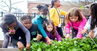 Study of the FRESHFARMS FoodPrints program suggests that kid who learn to grow, harvest and prepare food in elementary school show lasting healthy food attitudes and behaviors later in life. CREDIT: FRESHFARMS Foodprints/KZT Photography