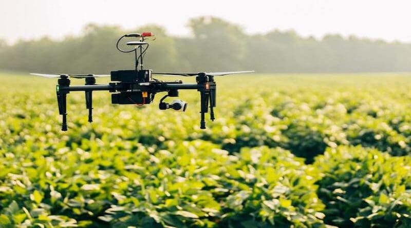 To Assistant Professor Azahar Ali, three technologies stand out for their potential to advance climate-smart, precision agriculture: wearable agriculture sensors, smart devices, and artificial intelligence. CREDIT: Photo by Sam Dean for Virginia Tech.