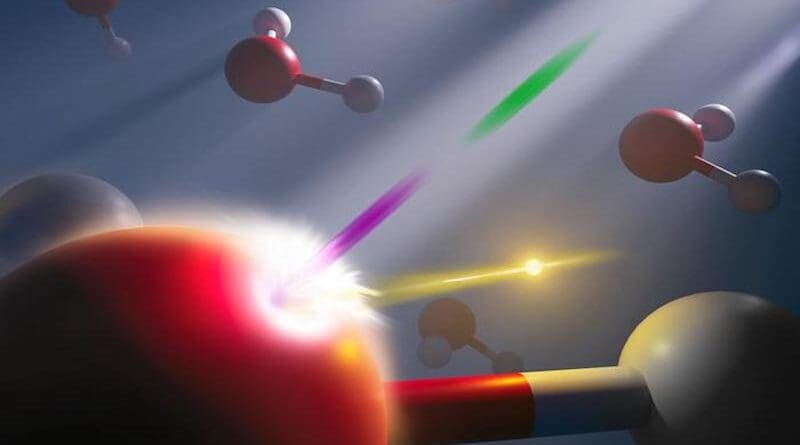 Scientists used a synchronized attosecond X-ray pulse pair (pictured pink and green here) from an X-ray free electron laser to study the energetic response of electrons (gold) in liquid water on attosecond time scale, while the hydrogen (white) and oxygen (red) atoms are ‘frozen’ in time. CREDIT: Nathan Johnson | Pacific Northwest National Laboratory
