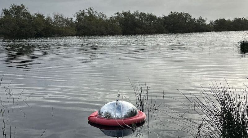 The RESTORE4Cs partners conducting research, using a floating chamber to catch both diffusive and ebullitive fluxes, at the Camargue Case Pilot, in France. Photo credit: RESTORE4Cs Fieldwork Team