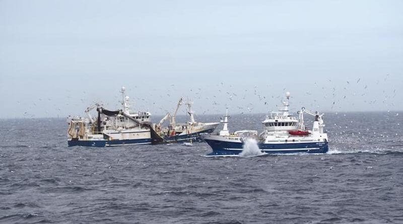As the Norwegian fleet was excluded from UK fishing grounds, the vessels were forced to areas where fishing was less efficient. The catch per fishing trip nearly halved, prompting a doubling in the number of trips per vessel. Consequently, the fuel used per kilo of mackerel caught more than doubled. CREDIT: Roar Bjånesøy/Norges Sildesalgslag